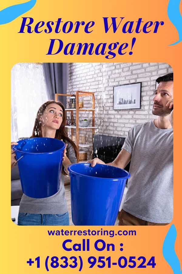 water restoration Prestige Recovery Experts Pinetops