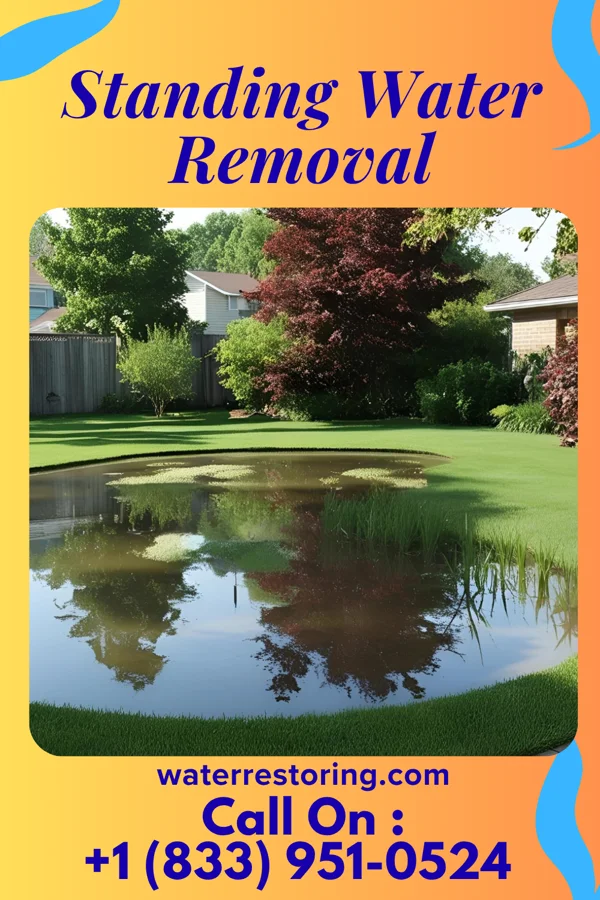 Standing Water Removal in Pinetops, NC